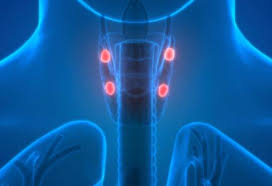 best doctor for parathyroid tumor in east delhi